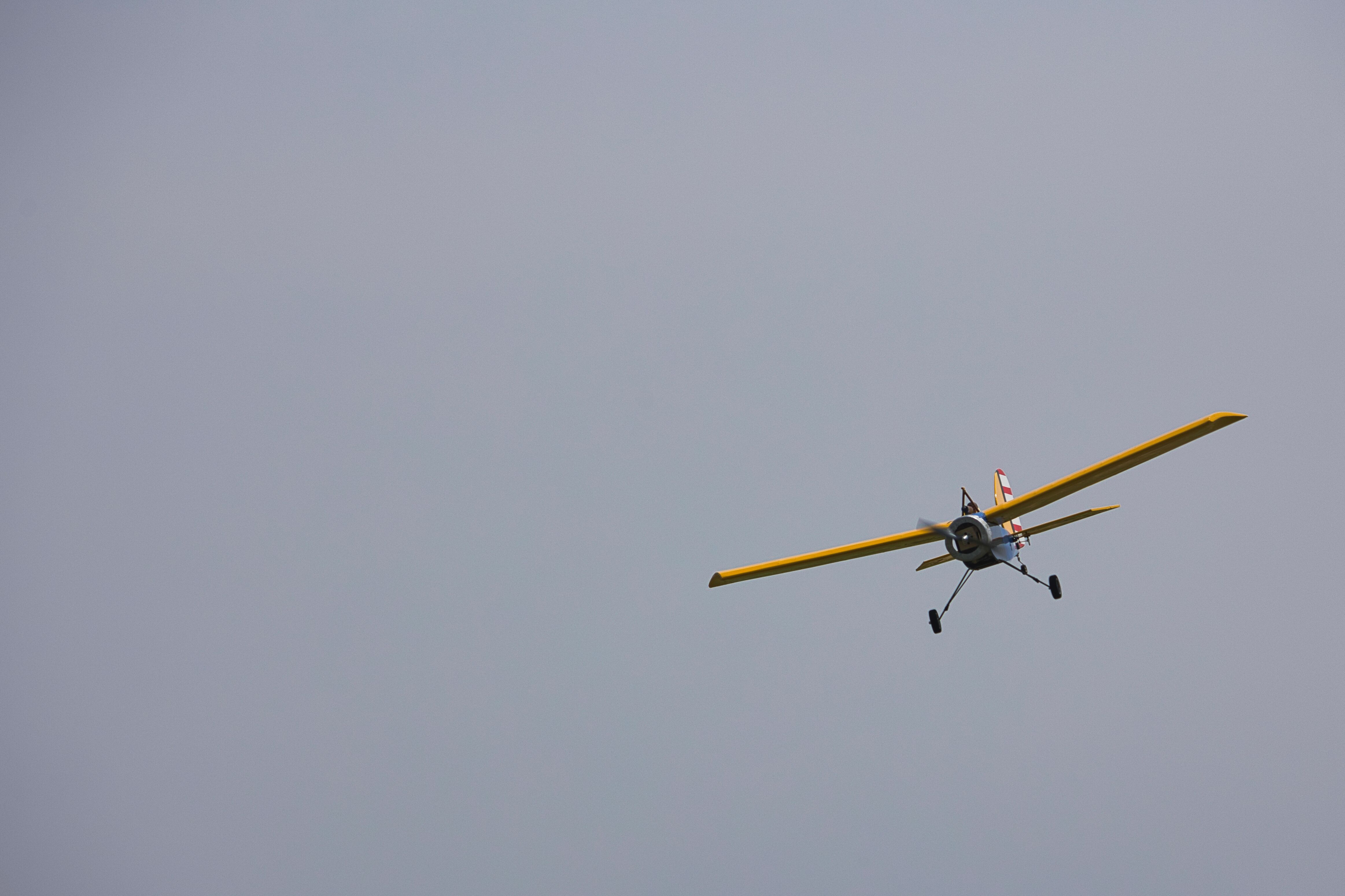 KN8A0572.jpg