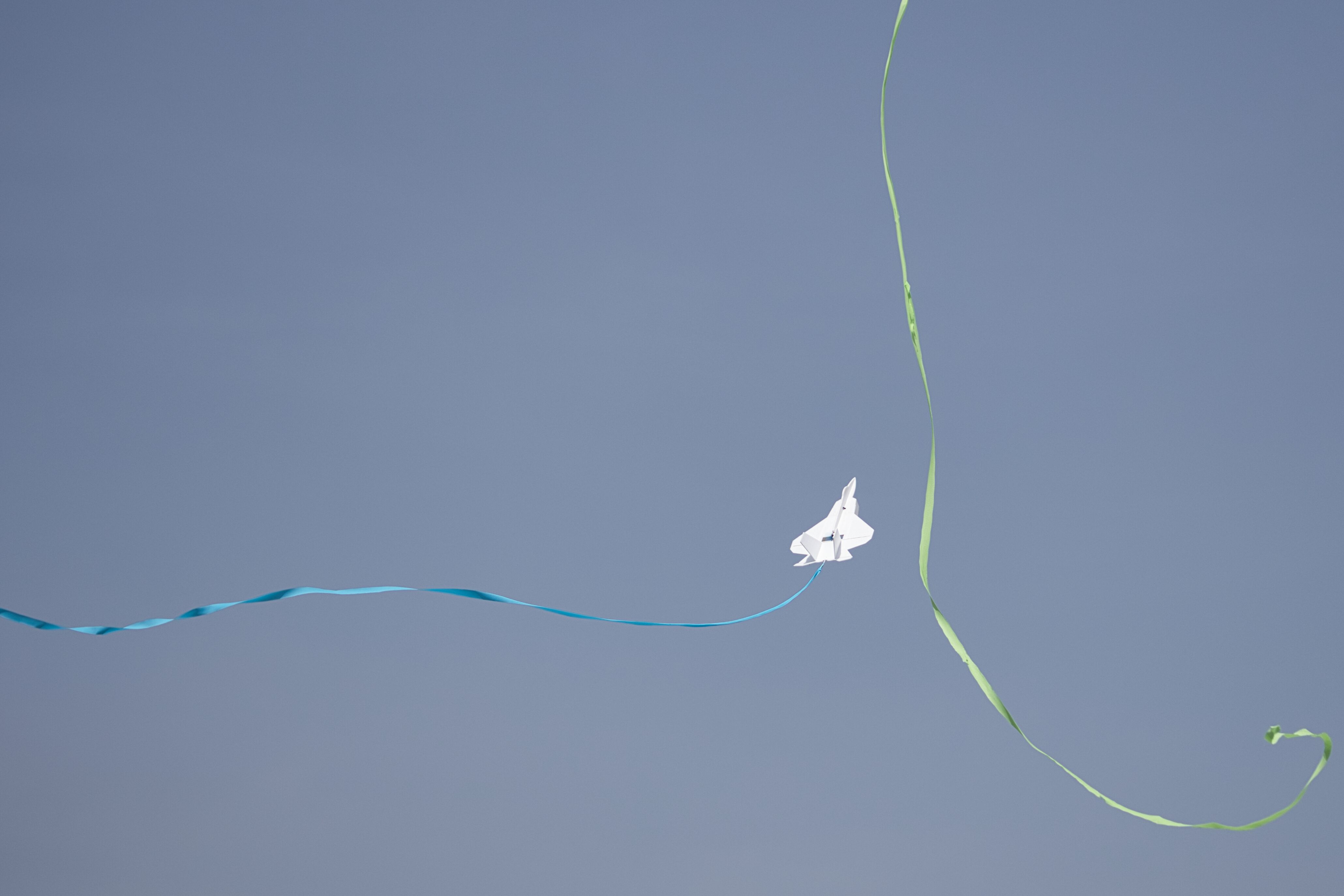 KN8A0800.jpg
